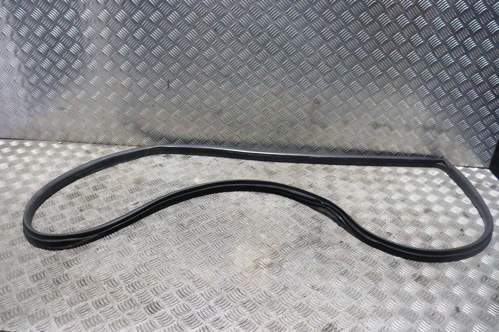 FORD FIESTA MK7 ZETEC S NS DOOR SEAL (ON BODY) 3DR 20092012 WK59