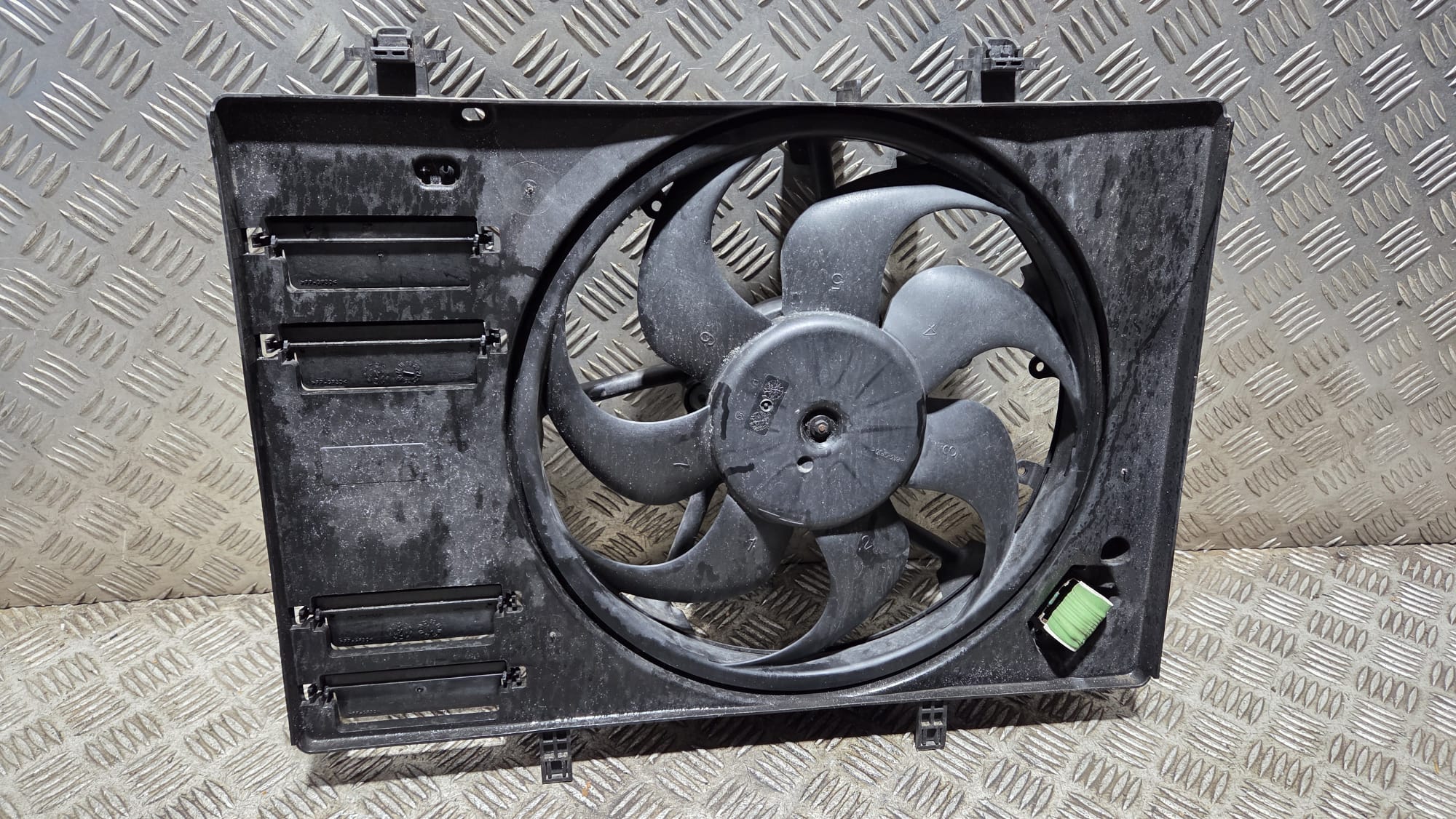 WhatsApp Image 2026-01-17 at 11.43.44