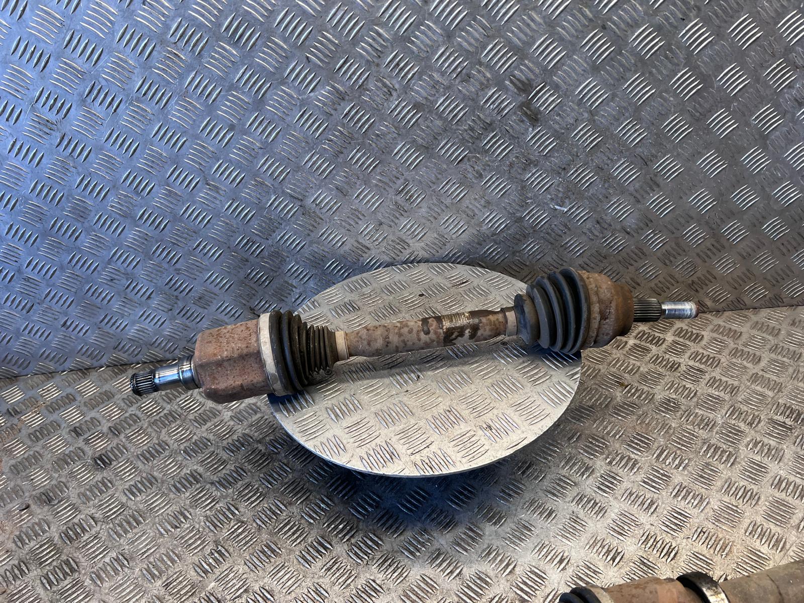 WhatsApp Image 2026-03-19 at 15.06.28