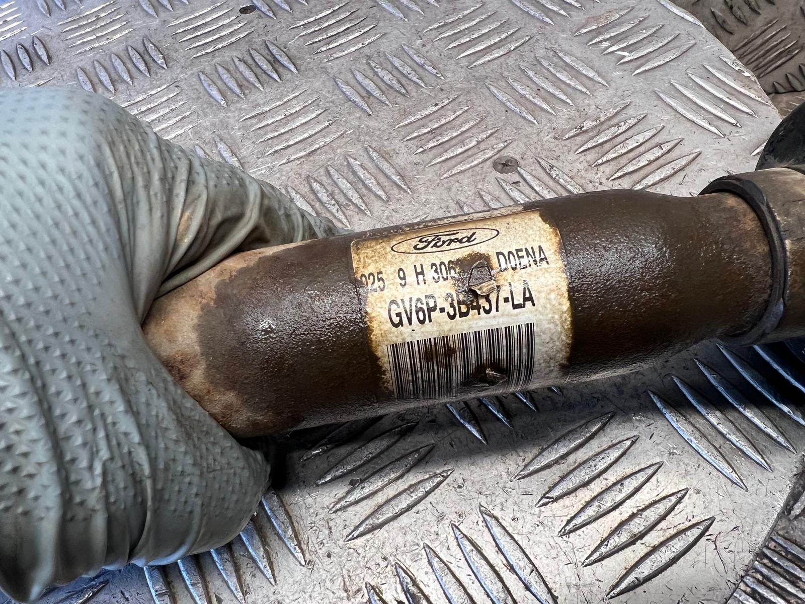 WhatsApp Image 2026-03-19 at 15.06.28a