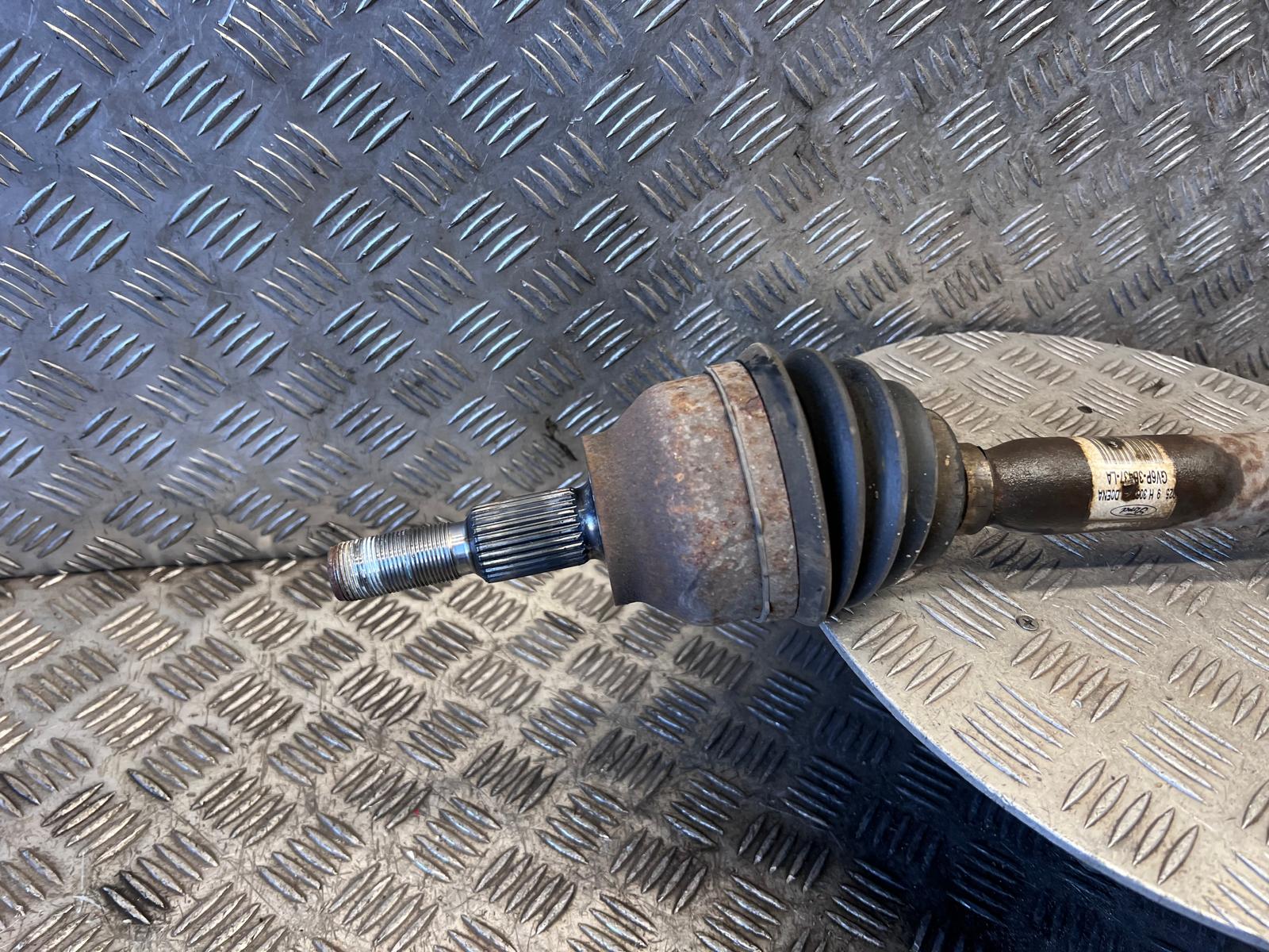 WhatsApp Image 2026-03-19 at 15.06.29