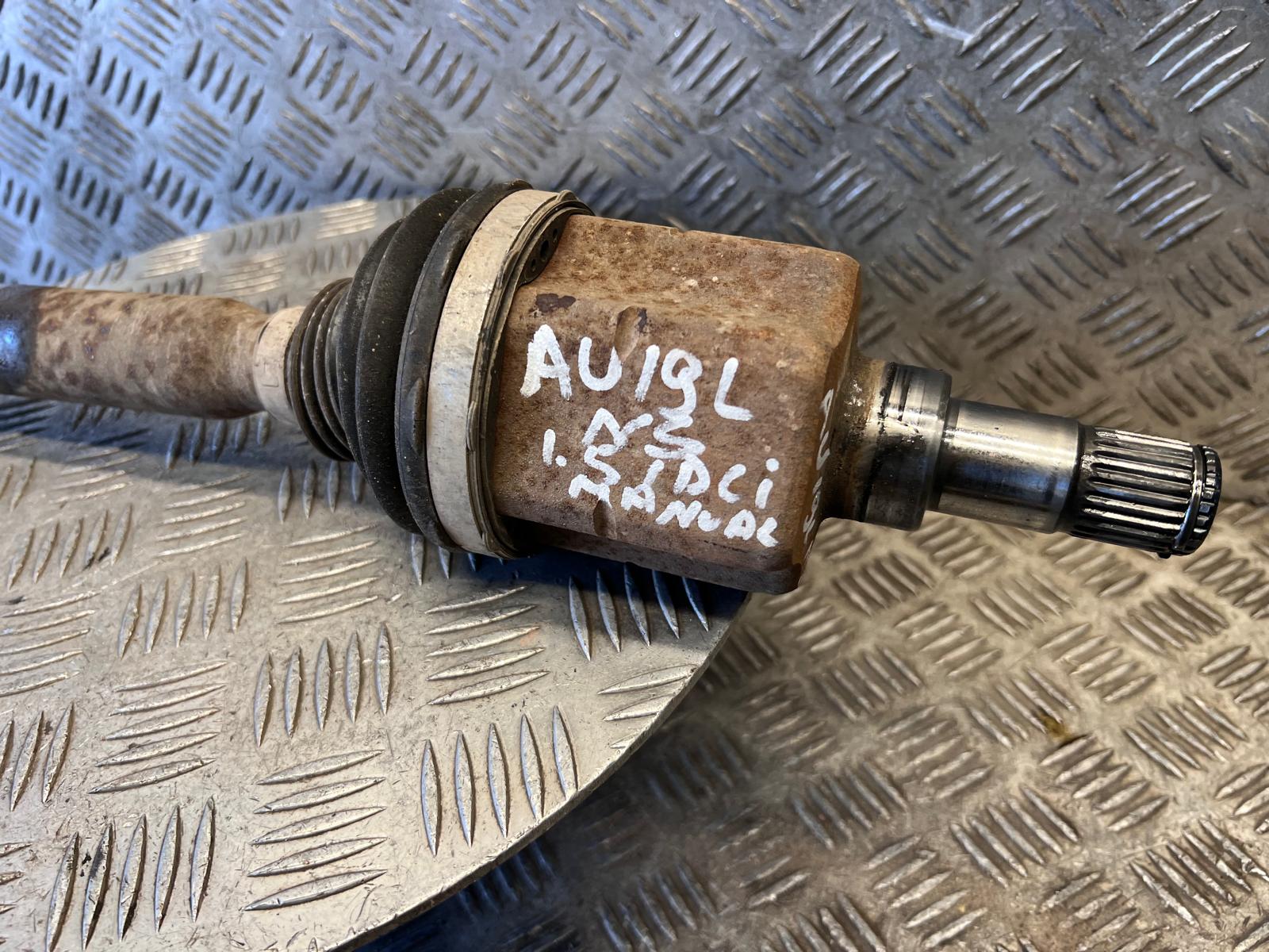 WhatsApp Image 2026-03-19 at 15.06.29a