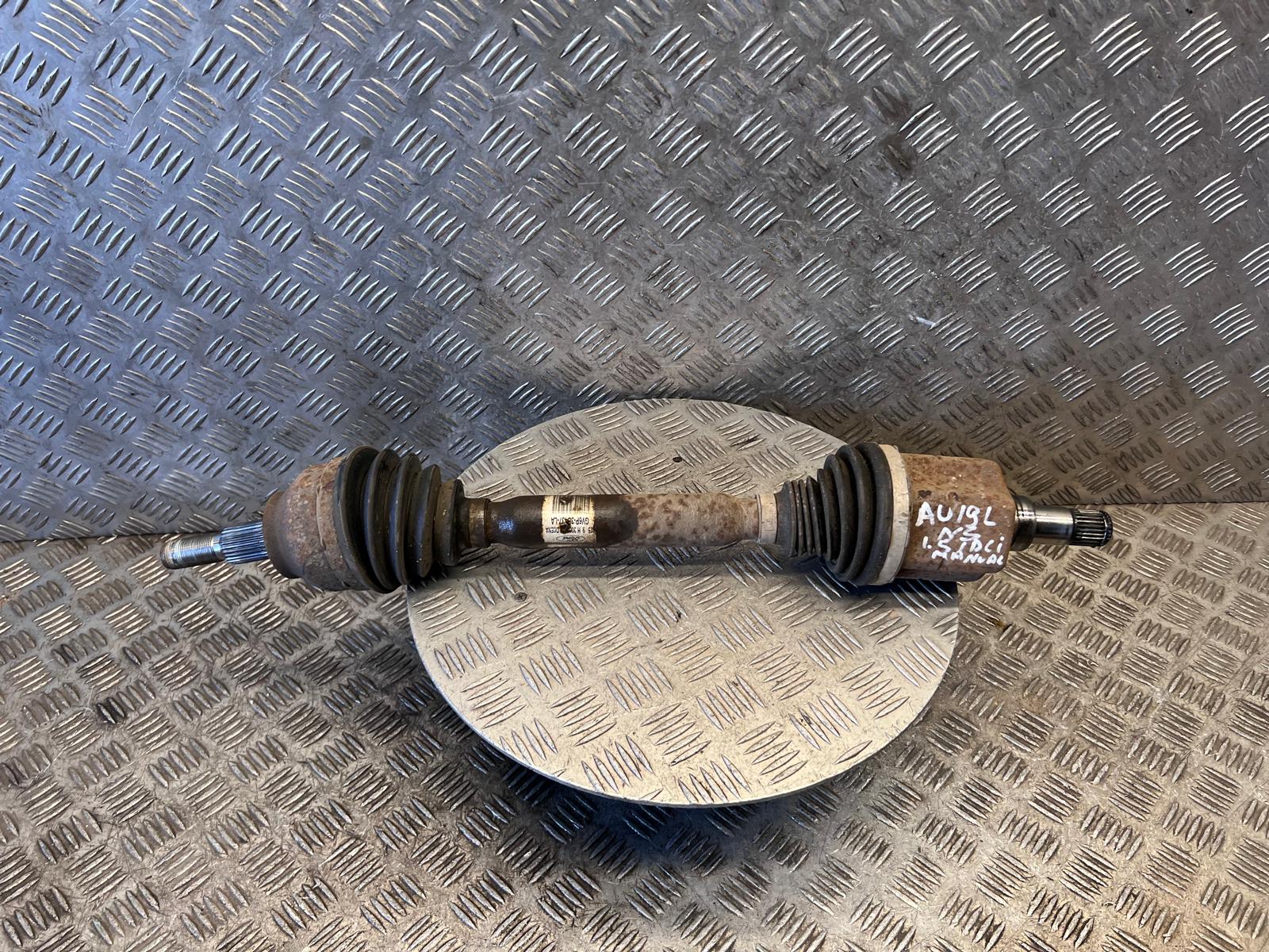 WhatsApp Image 2026-03-19 at 15.06.29b