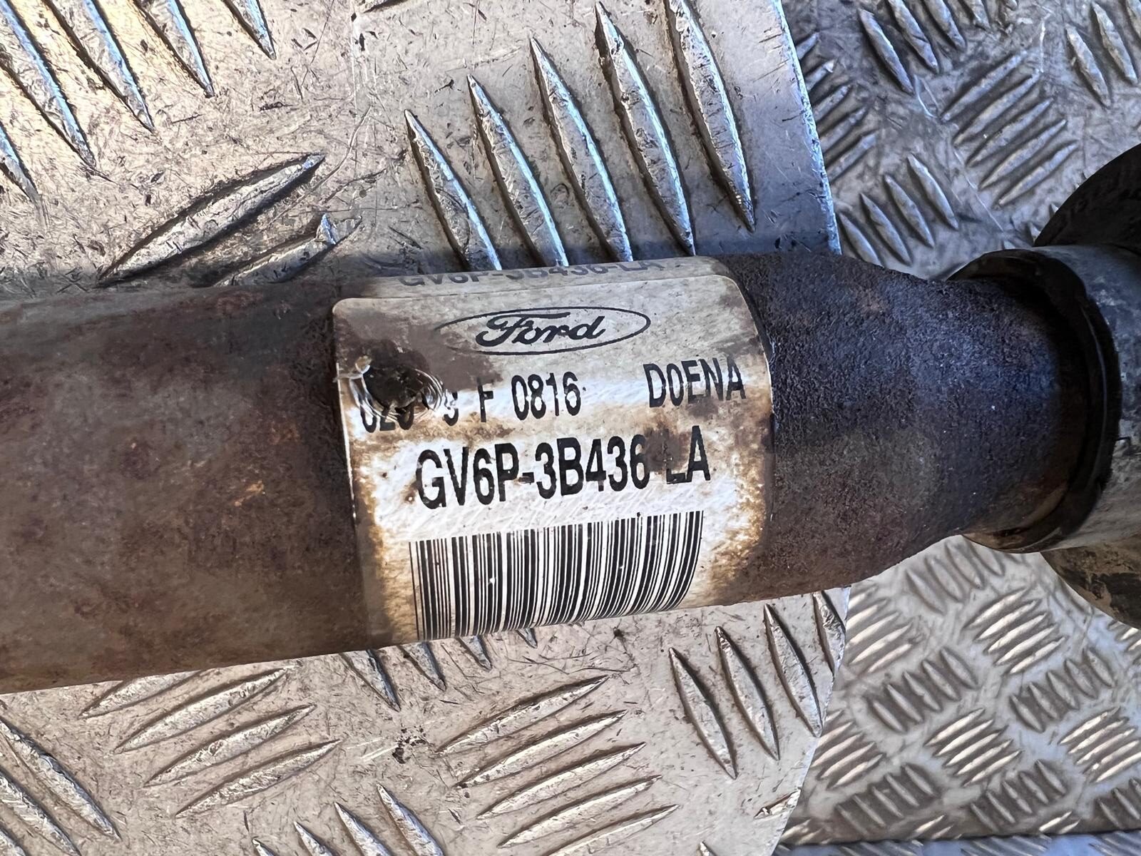 WhatsApp Image 2026-03-19 at 15.07.19