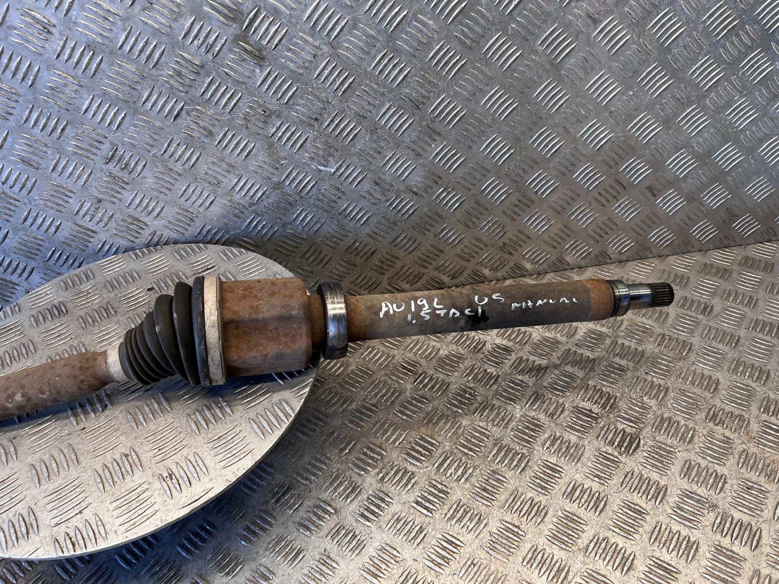 WhatsApp Image 2026-03-19 at 15.07.20