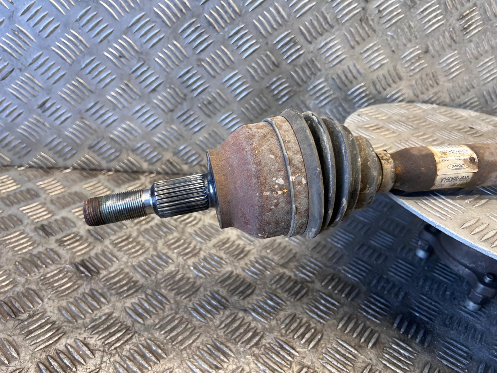 WhatsApp Image 2026-03-19 at 15.07.20b